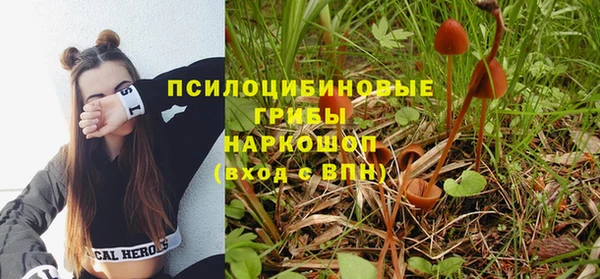 mix Рославль