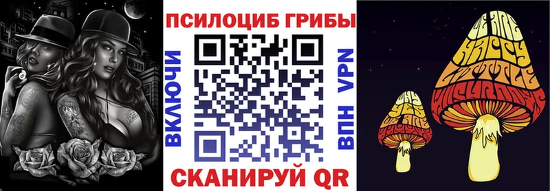 Галлюциногенные грибы Psilocybine cubensis  blacksprut зеркало  Кириллов  где купить наркоту 